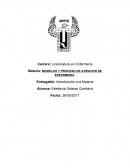 MODELOS Y PROCESO DE ATENCION DE ENFERMERIA