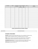 PLANILLA IDENTIFICACION DE PELIGROS Y RIESGOS