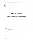Obtención de biobutanol a partir de material lignocelulósico. Procesos, microrganismos y aplicaciones