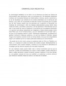 Criminologia mediatica