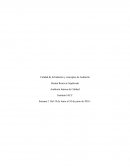 Calidad de la Industria y conceptos de Auditoría