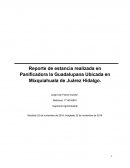 Reporte de estancia realizada en Panificadora la Guadalupana Ubicada en Mixquiahuala de Juárez Hidalgo
