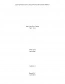 ¿Qué importancia tiene la ética profesional del Contador Público?