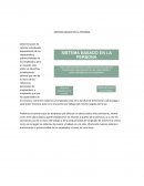 SISTEMA BASADO EN LA PERSONA