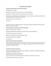 PASOS PARA UNA AUDITORÍA. Página 1