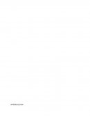 Desafio de la educacion ante la adolecencia