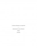 Los Recursos Informáticos en la organización