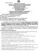 PRUEBAS DIAGNOSTICAS TEMÁTICA (ÁREA DE LENGUA ESPAÑOLA Y LITERATURA)