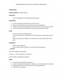 DISEÑO DE PROYECTO EDUCATIVO Y EXPERIENCIA PROFESIONAL