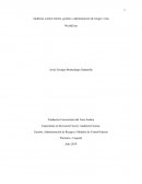 Auditoría, control interno, gestión y administración de riesgos. Caso WorldCom