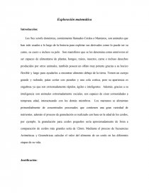 Exploración Matemática. Página 1