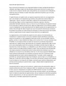 Desarrollo Capital Humano