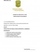 PRODUCCION DE FORRAJE VERDE HIDROPONICO y GERMINADO