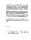 ANALISIS INFORME DENSIDAD RELATIVA