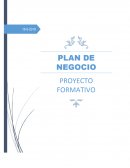 PLAN DE NEGOCIO PROYECTO FORMATIVO