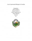 Determinar la influencia que ha tenido la juventud como sociedad cambiante en un mundo globalizado