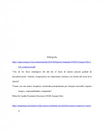 Análisis Interno y externo de ENGIE ENRGIA CHILE S.A. Página 7
