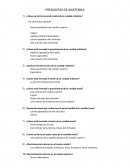 PREGUNTAS DE ANATOMIA