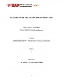 Administración y negocios internacionales