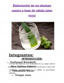 Elaboración de un shampo casero a base de sábila (aloe vero)