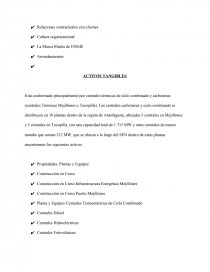 Análisis Interno y externo de ENGIE ENRGIA CHILE S.A. Página 3