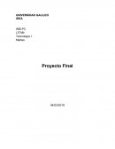 Proyecto final tecnologia