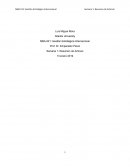 Planes Estratégicos en las Bibliotecas de las Universidades Españolas