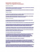 Entrenador instantaneo 24