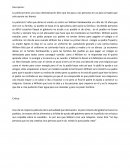 El niño que domо el viento