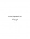 Análisis Interno y externo de ENGIE ENRGIA CHILE S.A