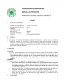 Sistema acusatario contradictorio