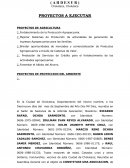 ACTA DE CONSTITUCION AHDESUR (PERSONERIA JURIDICA)