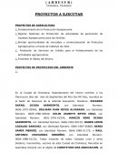 Constitución Ahdesur - Asociación de desarrollo