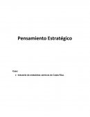 Caso embutidos cárnicos de Costa Rica