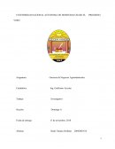 Gerencia de Negocios Agroindustriales