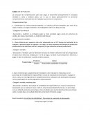 Descriptor de cargos