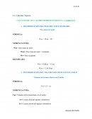 Cálculos Típicos