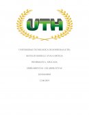 Tarea de Informatica. Herramientas Colaborativas