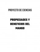 PROPIEDADES Y BENEFICIOS DEL MANGO
