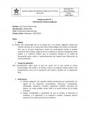 Trabajo practico N° 1 Minimizando residuos peligrosos