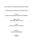 INCIDENCIA EN LOS PROCESOS DE INFORMACION EN LAS EMPRESAS