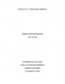 PROPIEDAD Y CONTRACTO