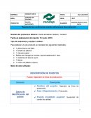 Reporte de condiciones actuales del proceso de producción. Pelota antiestrés. Modelo: “Cerebro”