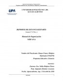 Manual de organización La empresa “NIRVANA”