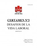CERTAMEN Nº3 DESAFIOS DE LA VIDA LABORAL (RODELILLO)