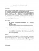 PLANIFICACIÓN ESTRATÉGICA: CASO TELEPIZZA