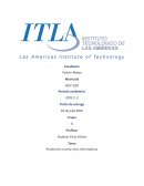 Protección contra virus informáticos