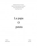 LA PAPA O PATATA