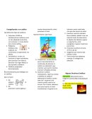 Evangelizando a un católico