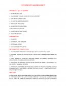 EXPERIMENTO ARAÑA ROBOT MATERIALES QUE SE USARAN